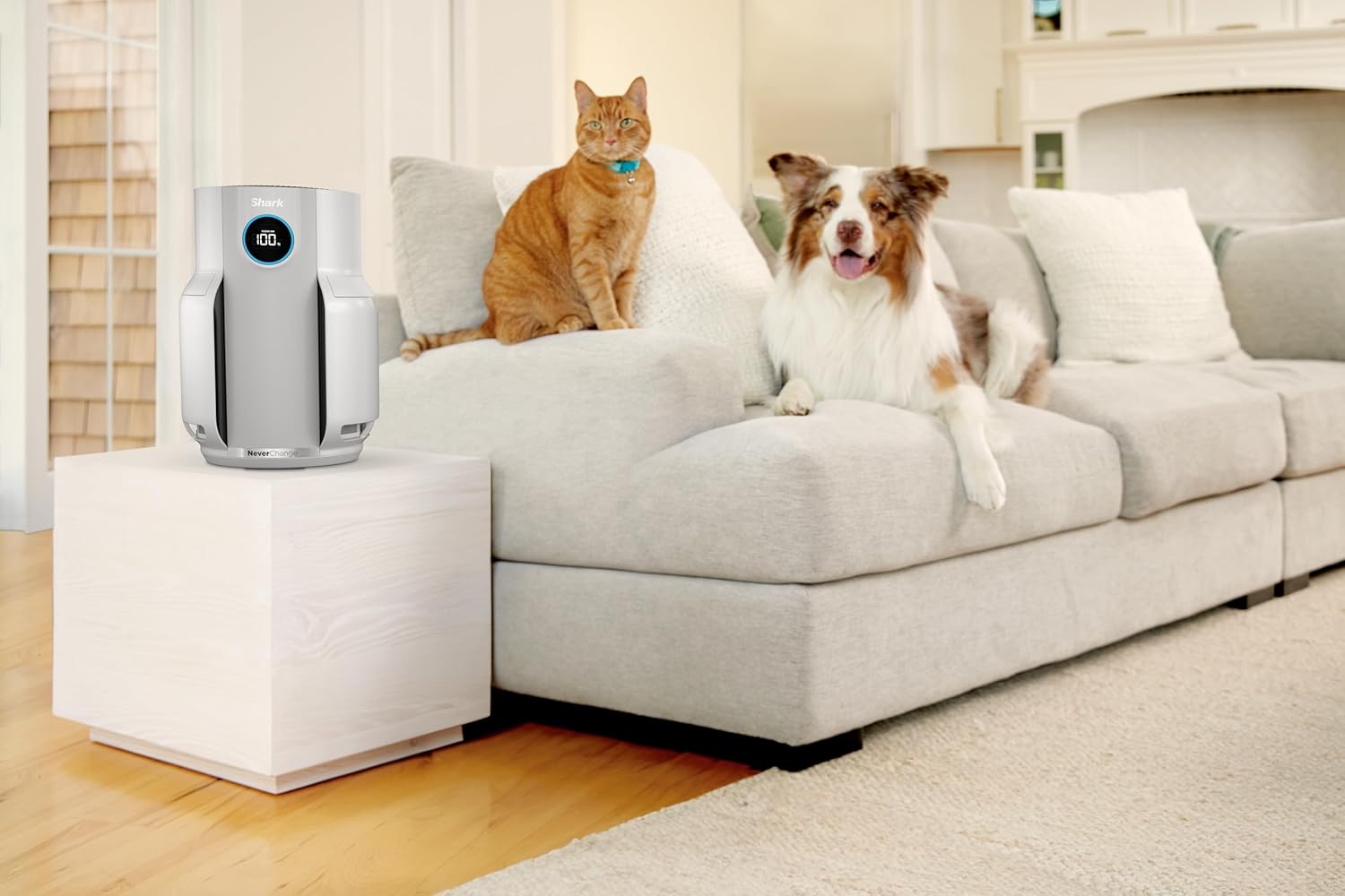 Shark NeverChange up to 5 years Air Purifier, 5-year HEPA Filter, 60m² Coverage, Captures 99.97% of Allergens, Automatic Mode, Quiet, LED Display, for Home and Bedroom, White HP150EU